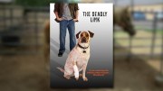 The Deadly Link