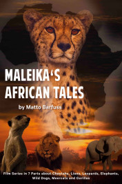 Maleika’s African Tales