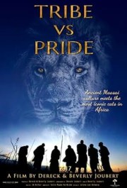 Tribe versus Pride