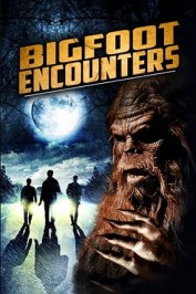 Bigfoot Encounters