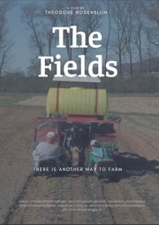The Fields