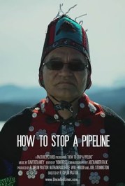 How to Stop a Pipeline