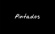 The Pintados Project