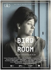 Bird in the Room