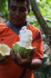 Setting the Bar: A Craft Chocolate Origin Story