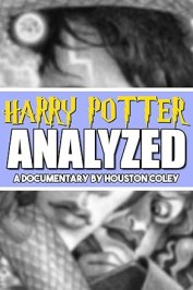 The Harry Potter Saga Analyzed