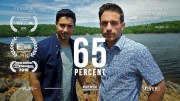 65 Percent