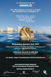 Troubled Waters: A Turtle's Tale