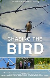 Chasing the Bird