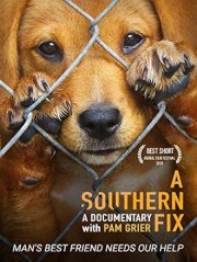 A Southern Fix