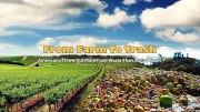 From Farm to Trash
