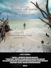 Marcus Jansen: Examine & Report