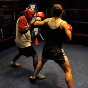 Boxing Chicks