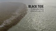 Black Tide