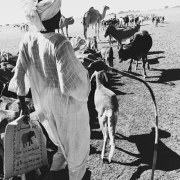 Adaptations to Environmental Degradation in Darfur