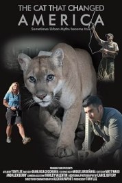 The Cat That Changed America