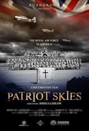 Patriot Skies