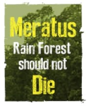 Meratus Rain Forest Should Not Die