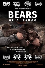 Bears of Durango