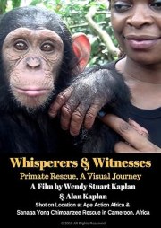 Whisperers and Witnesses: Primate Rescue, A Visual Journey