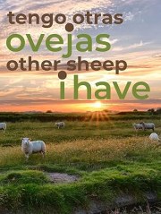 Other Sheep I Have