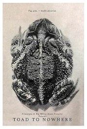 Toad to Nowhere