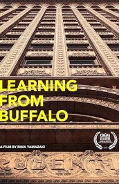 Learning from Buffalo