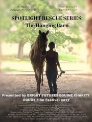 The Spotlight Rescue Series