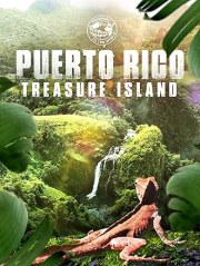 Passport to the World: Puerto Rico