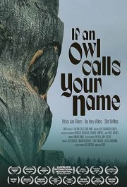 If an Owl Calls Your Name