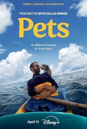 Pets