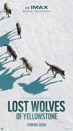 Lost Wolves of Yellowstone