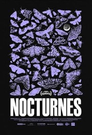 Nocturnes