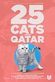25 Cats from Qatar