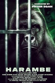 Harambe