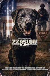 Zzaslow K-427