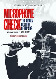 Microphone Check