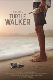 Turtle Walker