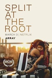 Split at the Root