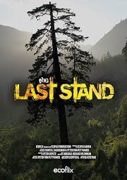 The Last Stand
