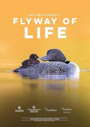 Flyway of Life