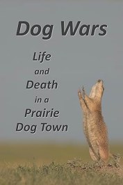 Dog Wars: Life and Death in a Prairie Dog Town