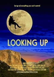 Looking UP
