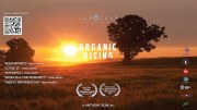 Organic Rising