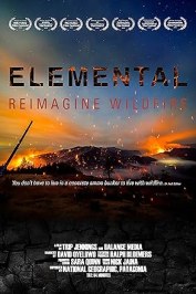 Elemental: Reimagine Wildfire