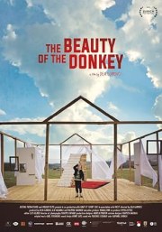 The Beauty of the Donkey