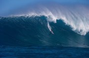 Raised by Waves