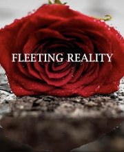 Fleeting Reality