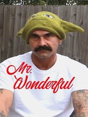 Mr. Wonderful