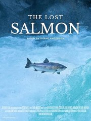 The Lost Salmon